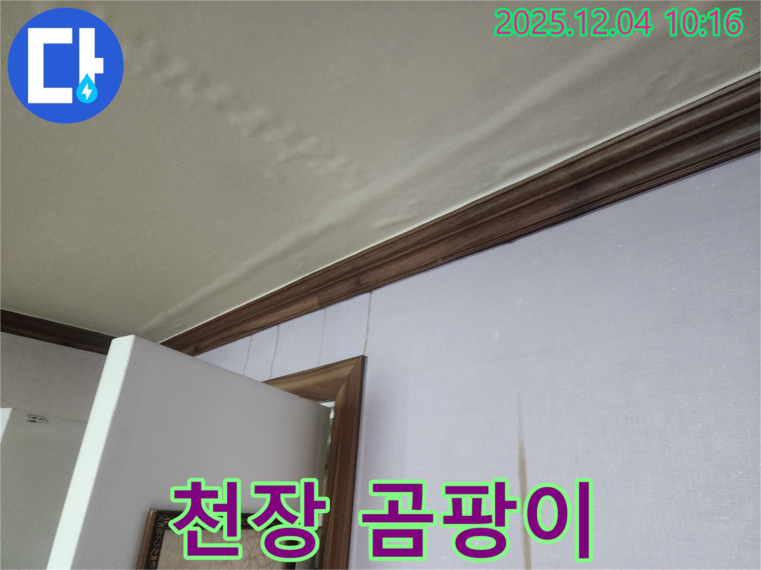 경기도 포천시 일동면 유동리 천장 곰팡이 - 누수로 인한 곰팡이, 전문적인 제거가 중요합니다.