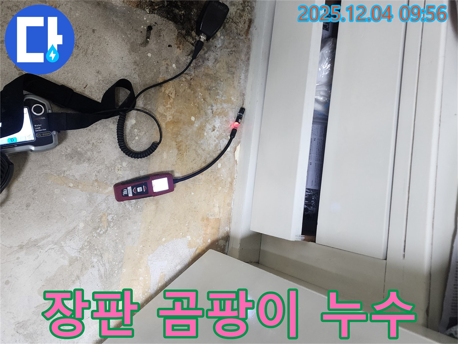 젖은 장판 밑 곰팡이 - 건강 위협, 누수 해결과 곰팡이 제거