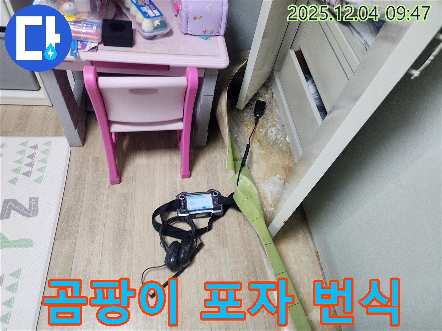 포천 일동면 누수 - 장판 밑 습기, 곰팡이 포자 번식?! 완벽 차단으로 곰팡이 걱정 끝!