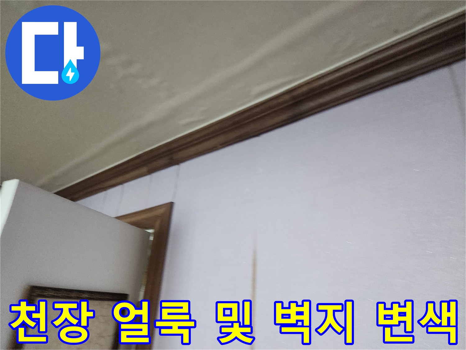 포천 일동면 주거 공간의 천장 몰딩 부근에 나타난 누수 흔적과 벽지 얼룩