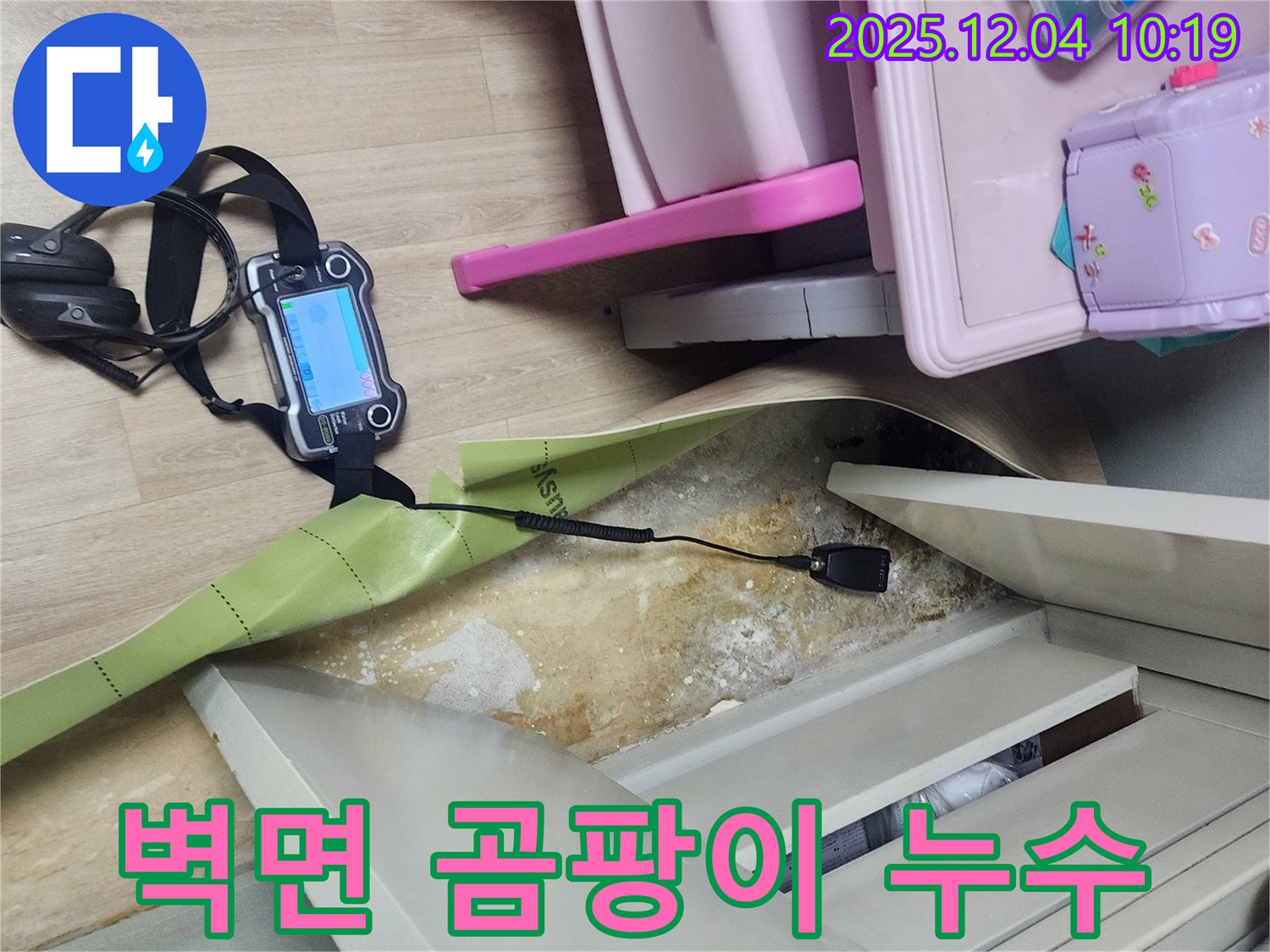 포천시 일동면 유동리 누수탐지 - 벽면 곰팡이, 누수 때문인지 확인 중