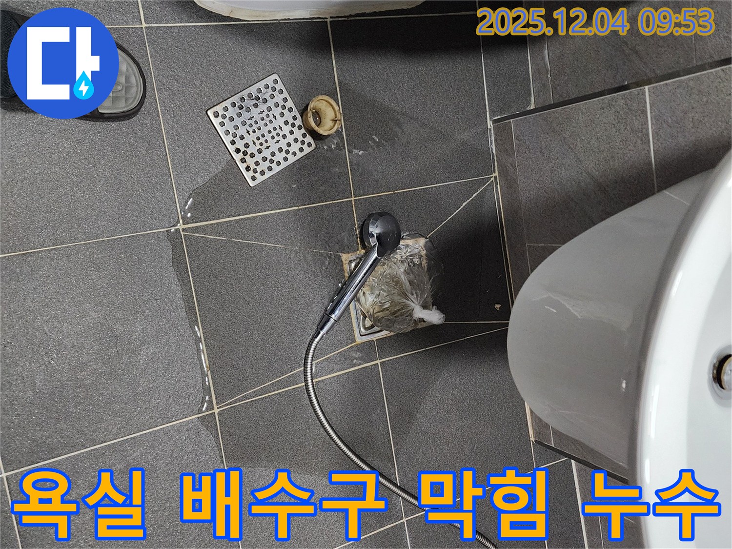 포천시 일동면 유동리에서 발생한 욕실 배수구 막힘으로 인한 누수 현장 - 배수구 주변 타일의 물기 흔적과 막힘의 원인을 보여줍니다.