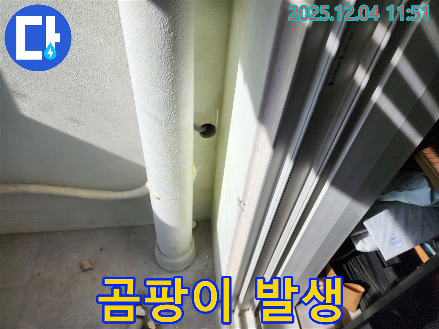 포천 누수 - 베란다 배수관 주변 곰팡이 발생, 누수와 곰팡이 동시 해결