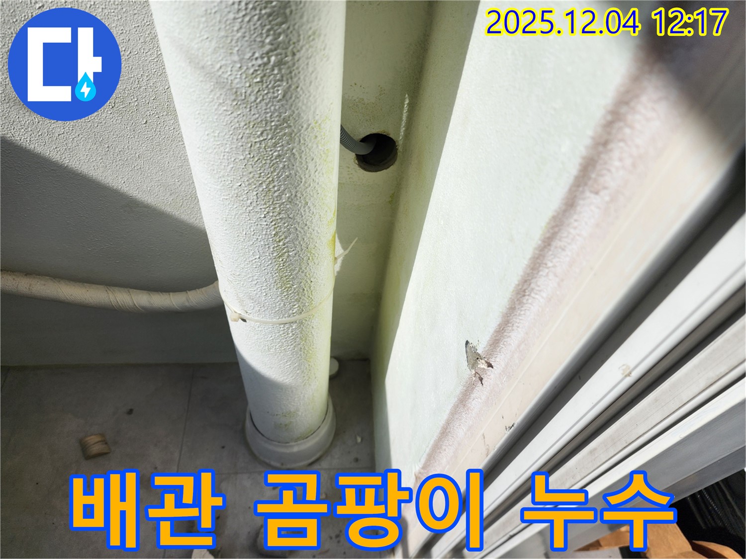 포천 일동면 누수 - 배관 주변에 곰팡이가 심하게 발생했습니다 - 누수 가능성이 매우 높습니다.