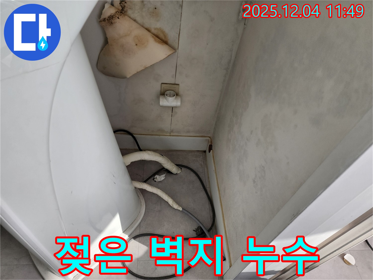포천시 일동면 - 젖은 벽지, 곰팡이 번식 전에 해결하세요