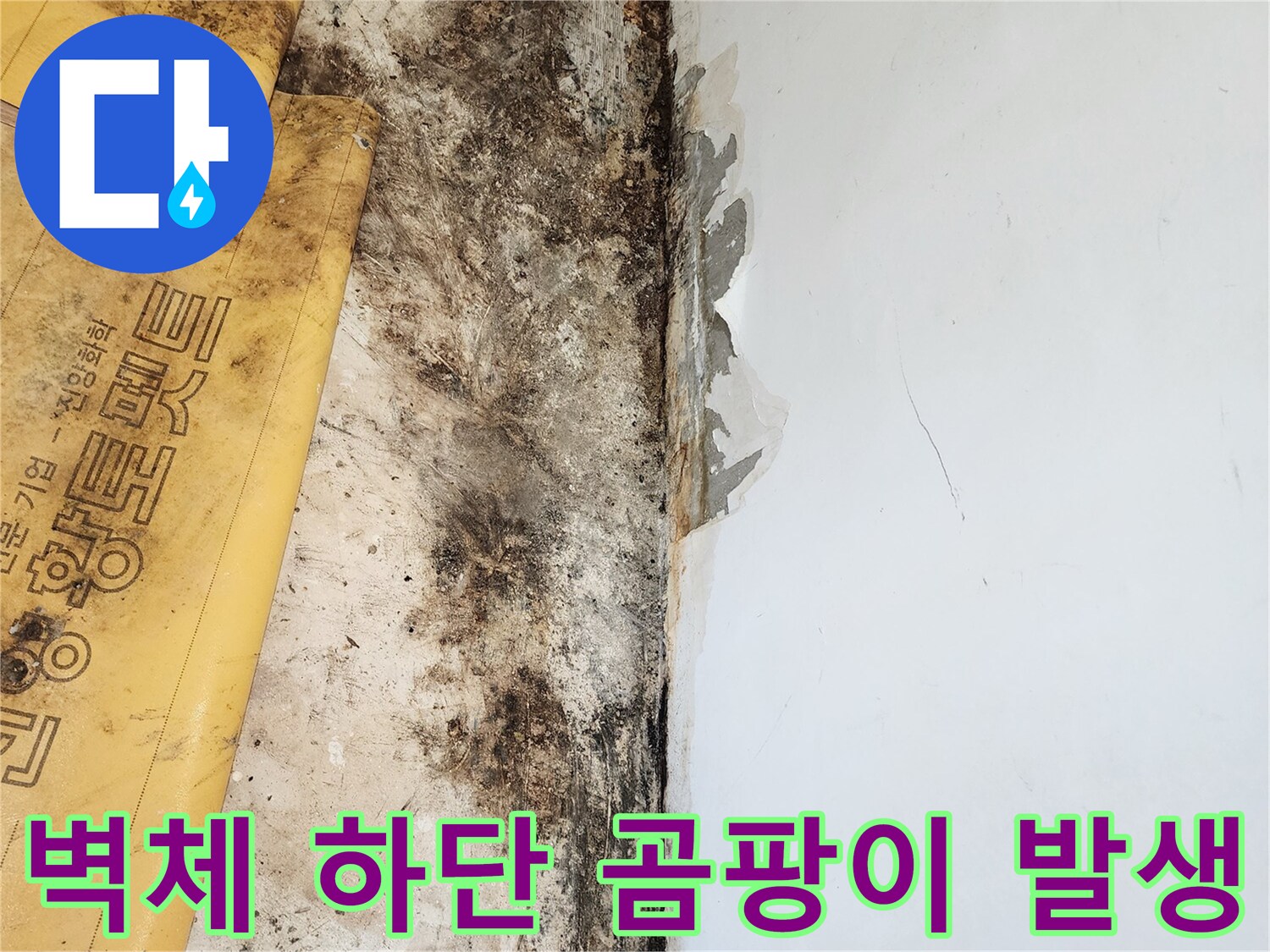곰팡이가 번진 벽면 하단과 바닥 경계 부위 사진