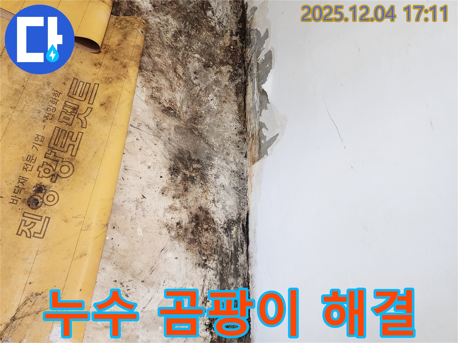 포천시 일동면 누수 - 완벽 시공으로 누수와 곰팡이 문제 해결