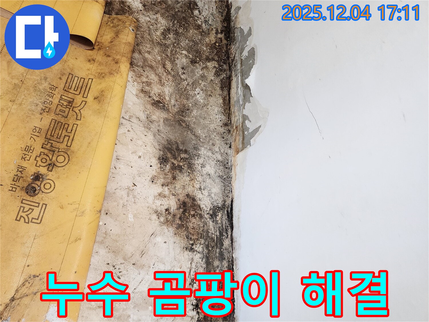 포천시 일동면 화대리 누수 - 곰팡이 문제 완벽 해결 후 쾌적한 공간