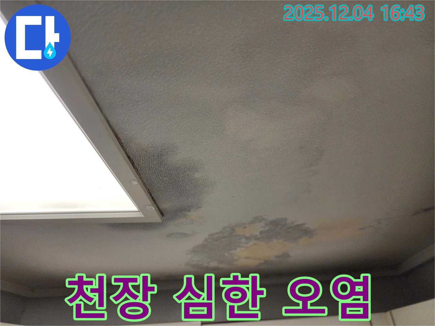 포천시 일동면 화대리 누수 - 천장 심한 오염과 곰팡이 발생