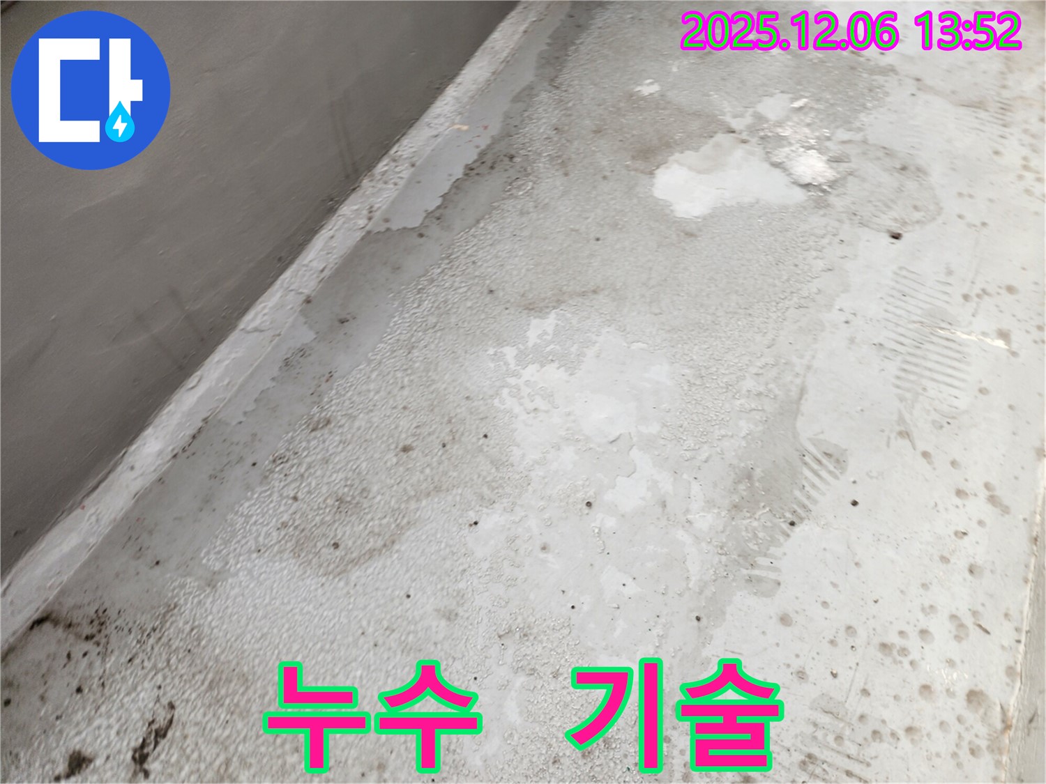 사당동 누수 현장 - 베테랑 기술자의 꼼꼼한 시공