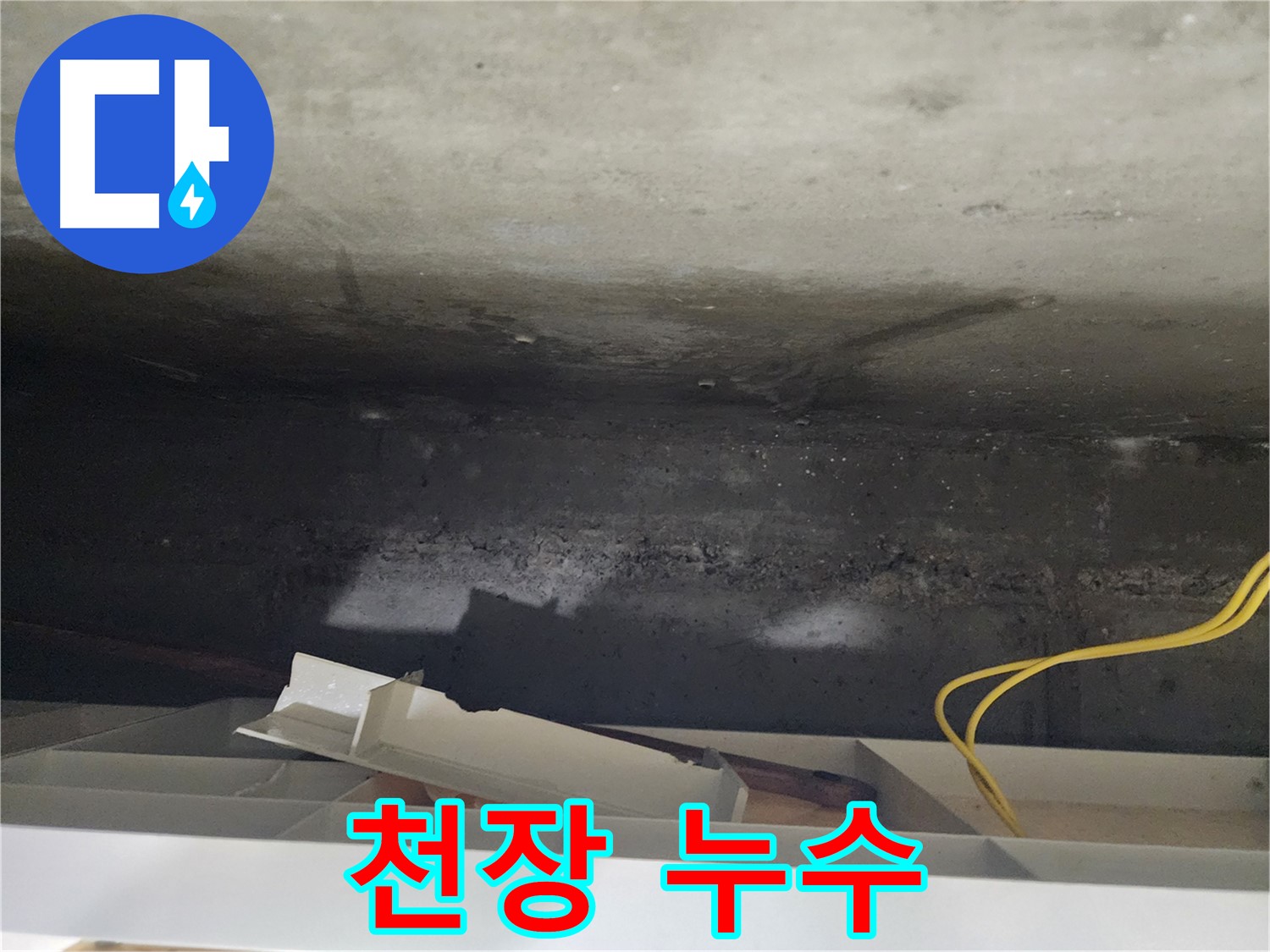 천장 누수 - 누수 탐지 전문 장비 사용