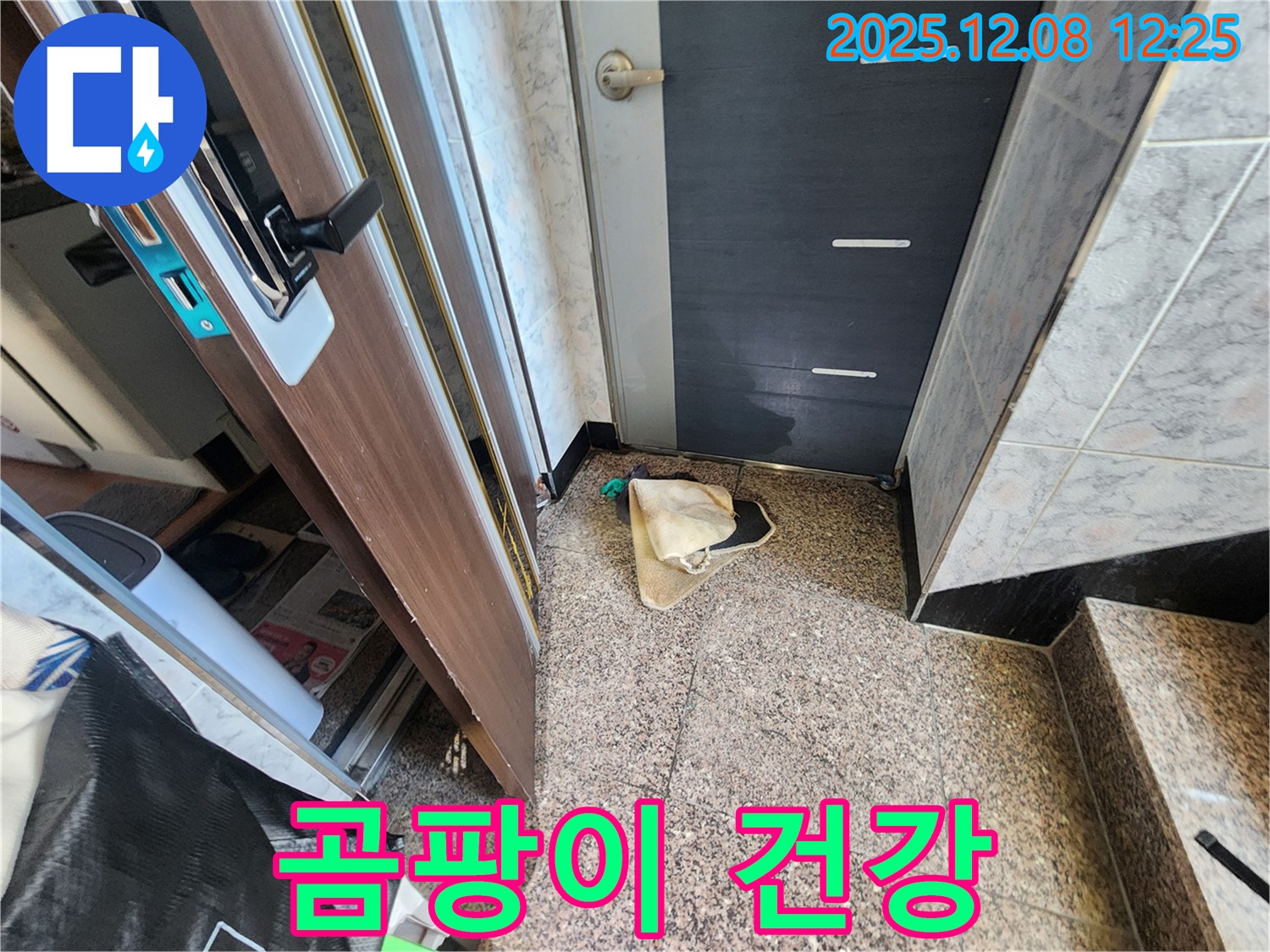 면목동 현관문 주변 벽에 곰팡이가 피었다면? - 건강에도 위험합니다 - 누수 전문가가 곰팡이 제거부터 누수 해결까지!