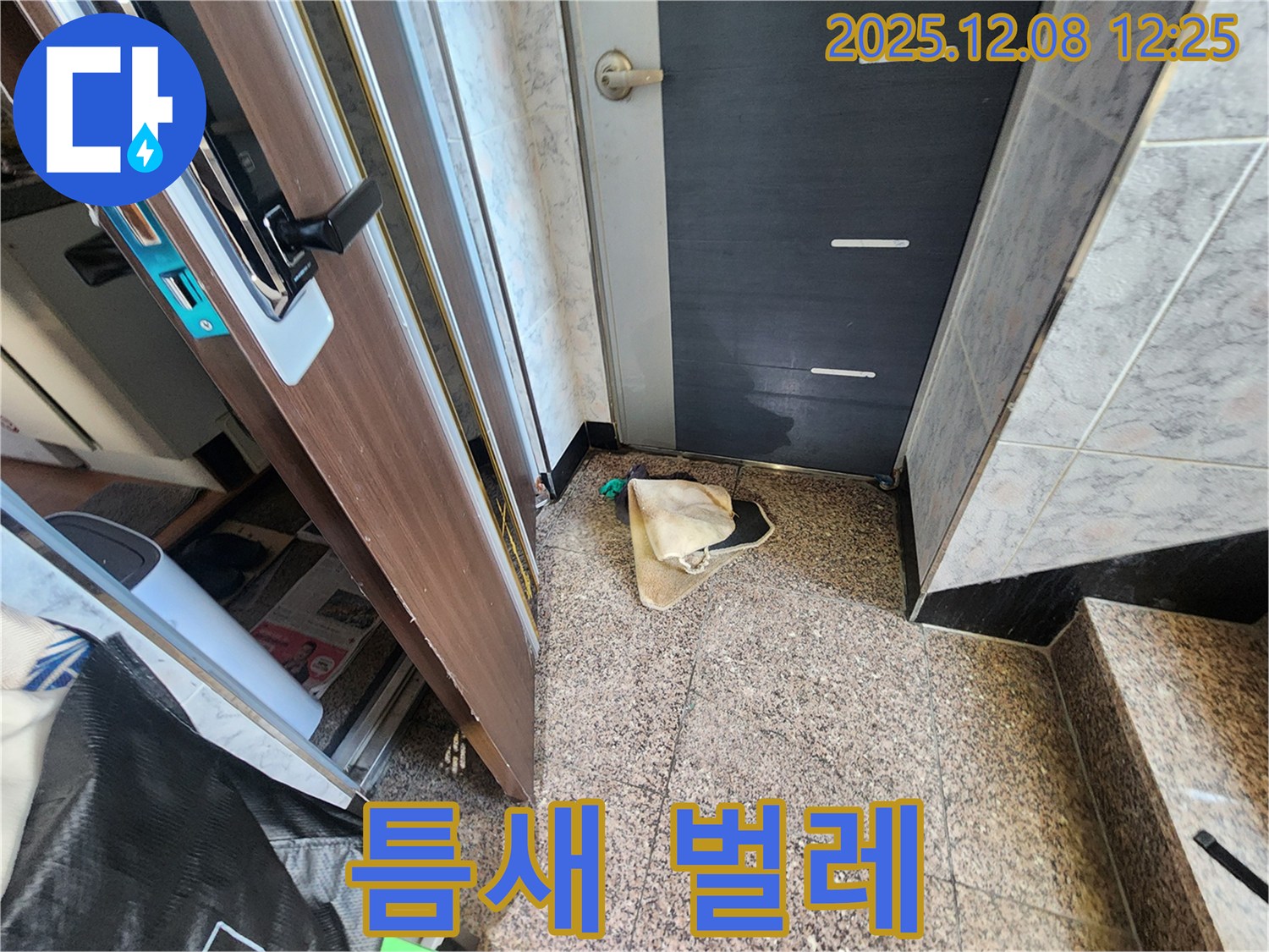 면목동 현관문 틈새로 벌레가 들어온다면? - 누수와 함께 틈새 문제도 해결하세요 - 쾌적한 현관 환경을 만들어 드립니다.