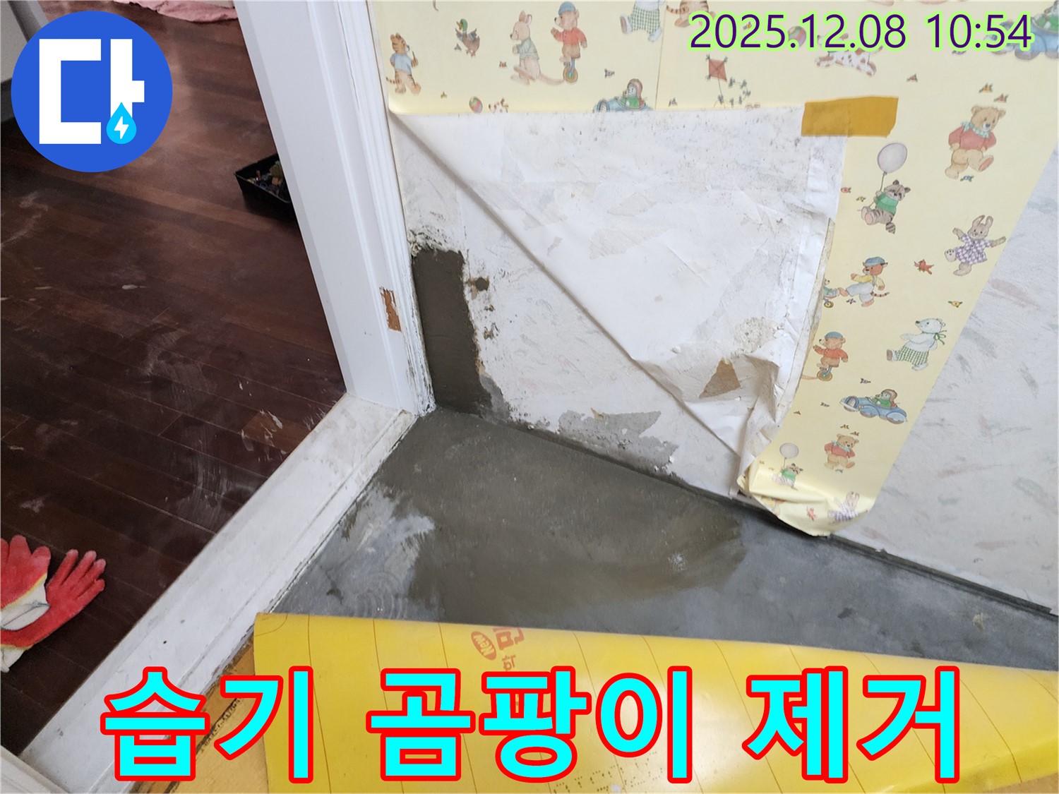 포천시 영중면 거사리 습기 곰팡이 완벽 해결 - 쾌적한 공간으로!