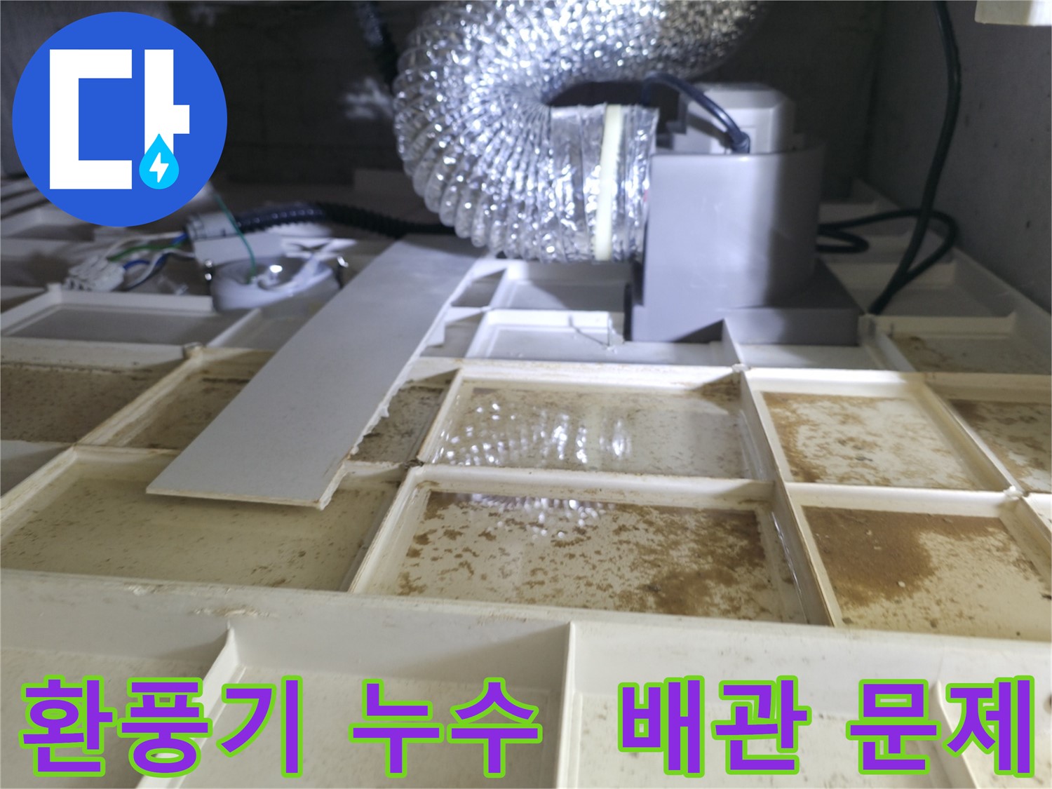 향남 아파트 환풍기 누수 - 윗집 배관 문제 여부 꼼꼼 진단