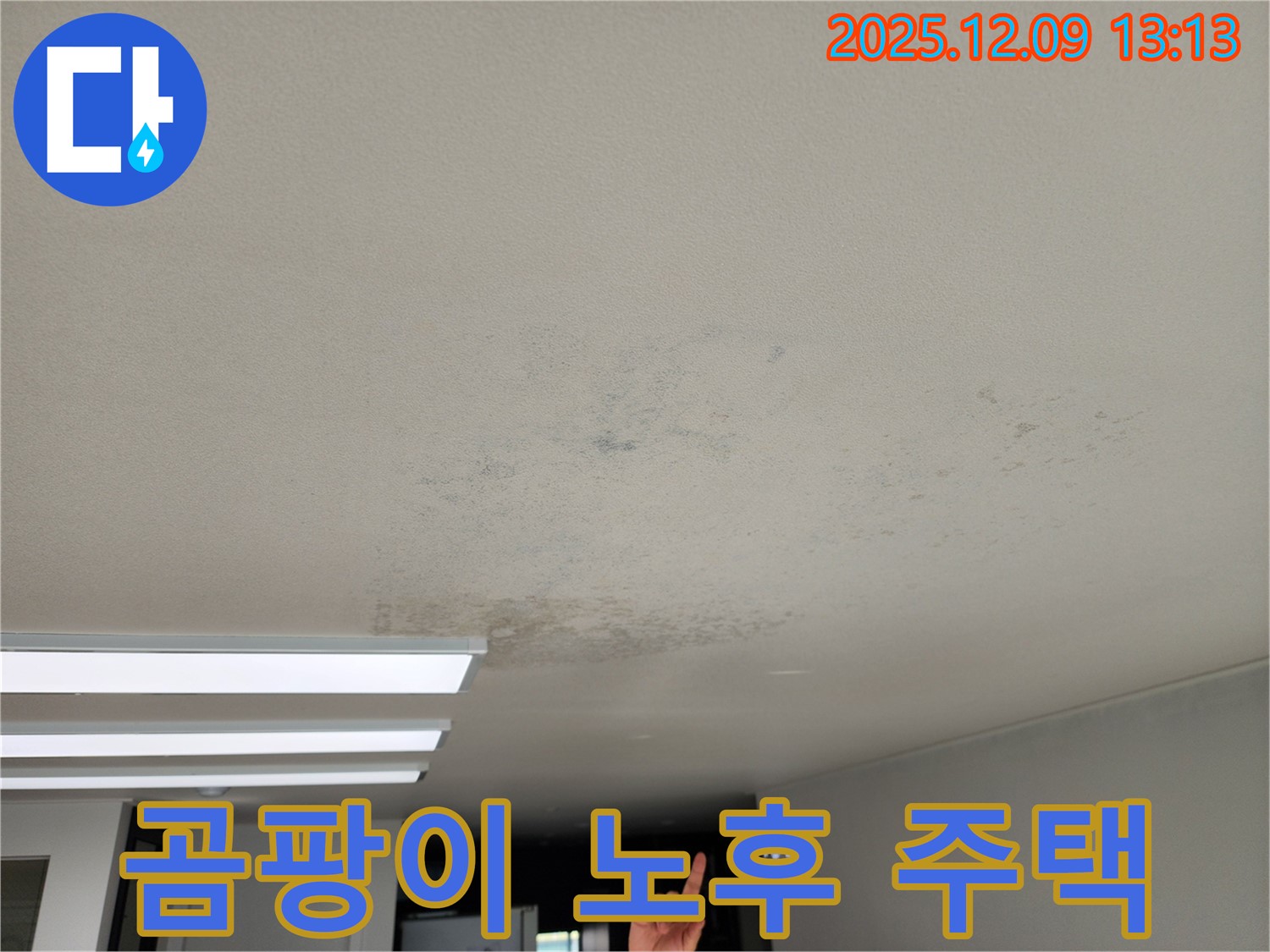 경기도 포천시 영중면 성동리 - 곰팡이, 노후 주택 건강 위협