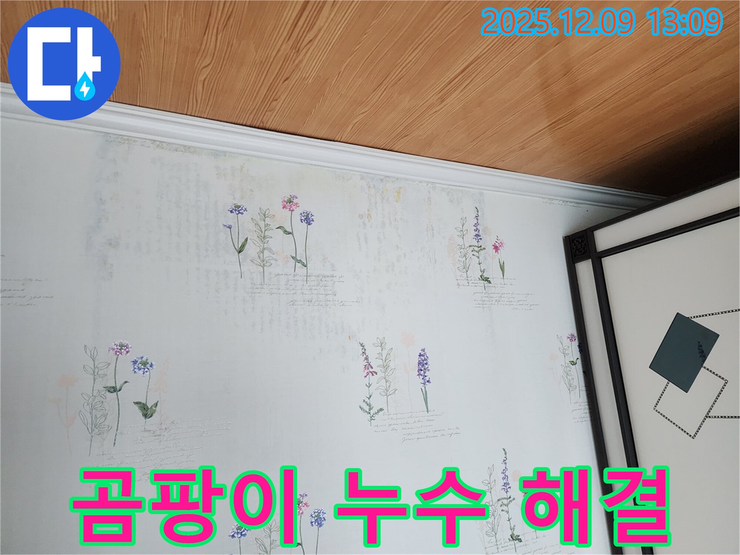곰팡이 - 누수 문제를 해결하여 곰팡이 없는 쾌적한 공간을 만들어 드립니다.