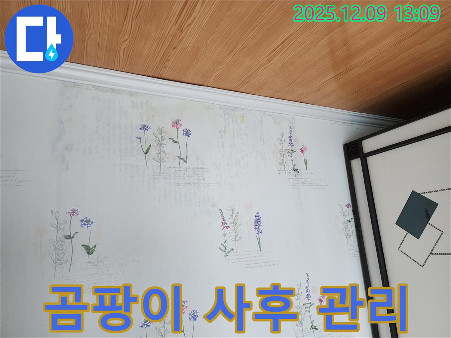 곰팡이 벽지 - 원인 해결은 물론 사후 관리까지 책임지는 누수 탐지 서비스.