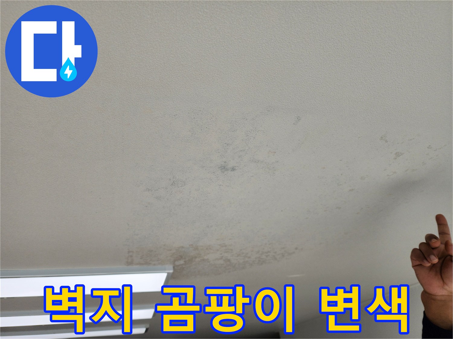 누수로 인해 발생한 천장 벽지의 곰팡이와 변색 부위