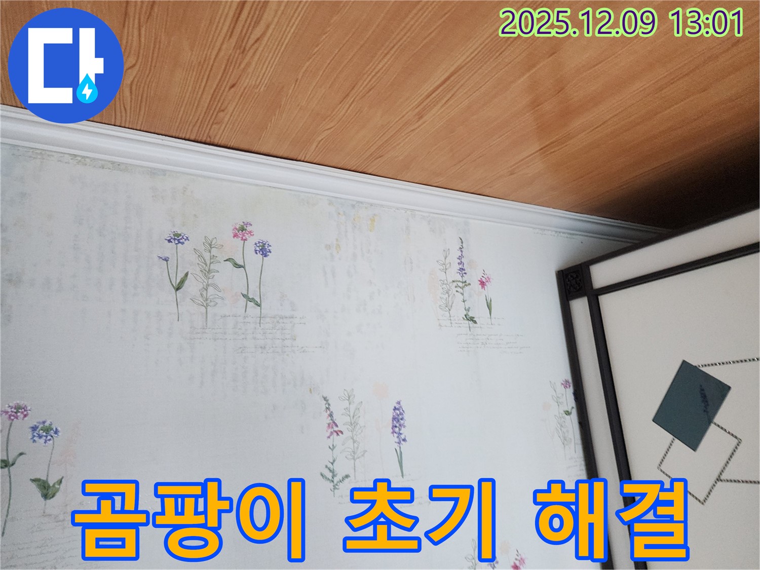 성동리 누수 현장 - 곰팡이 초기 단계 발견 및 신속 대응