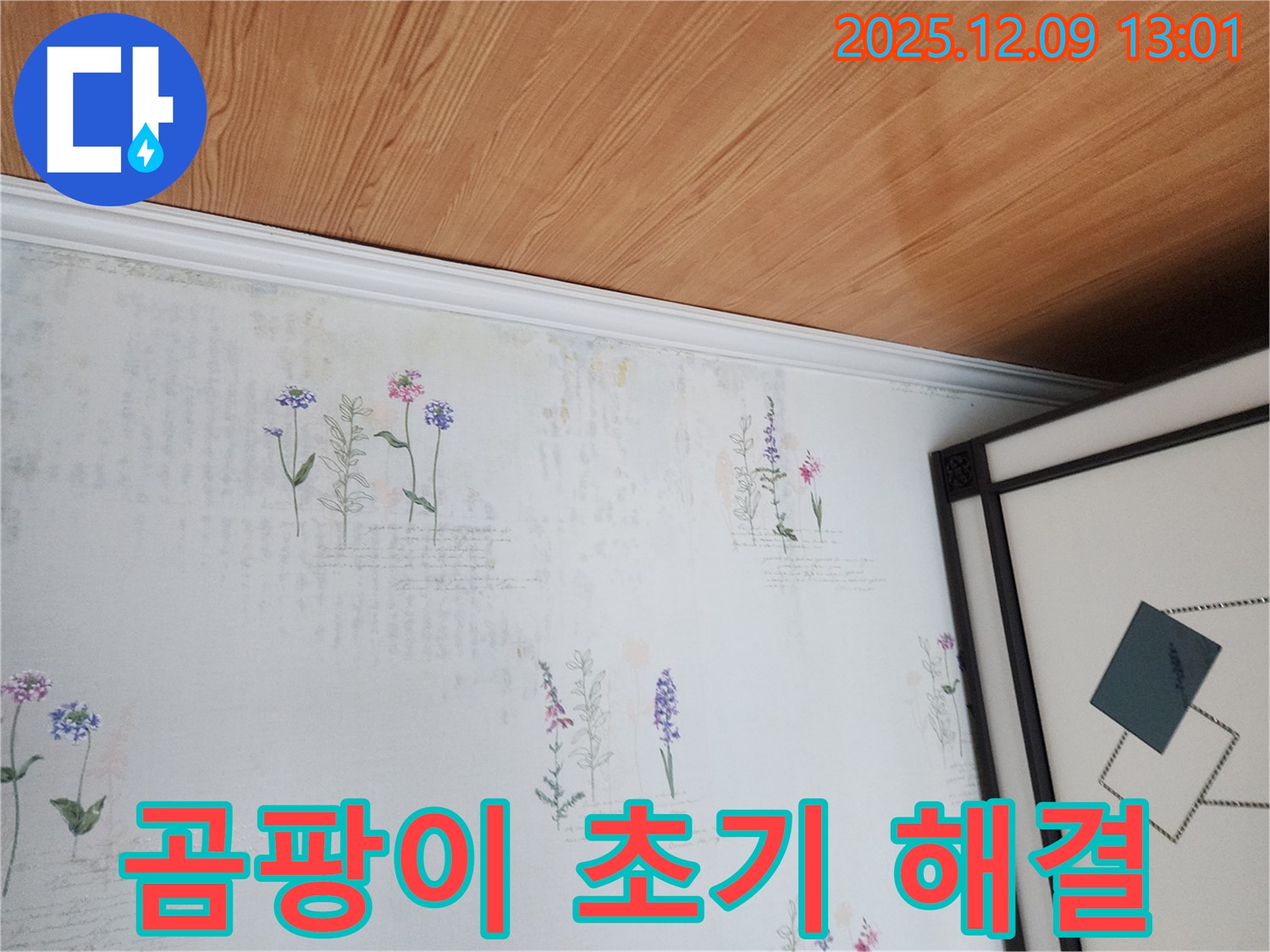 성동리 누수 현장 - 곰팡이 초기 단계 발견 및 해결