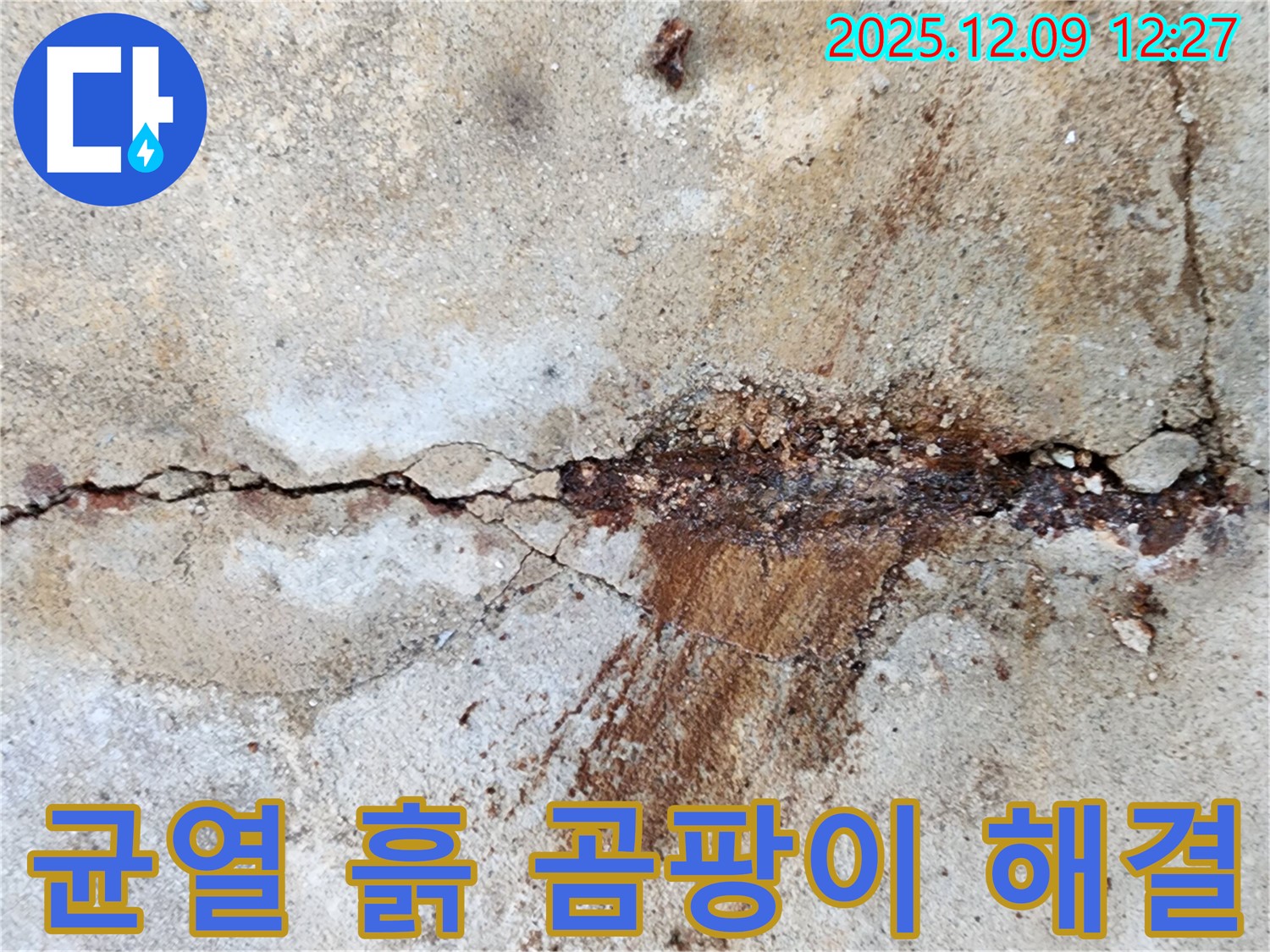 성동리 콘크리트 균열 - 흙과 습기가 만나 곰팡이가 서식한다면 건강을 위협! 긴급 해결이 필요합니다!