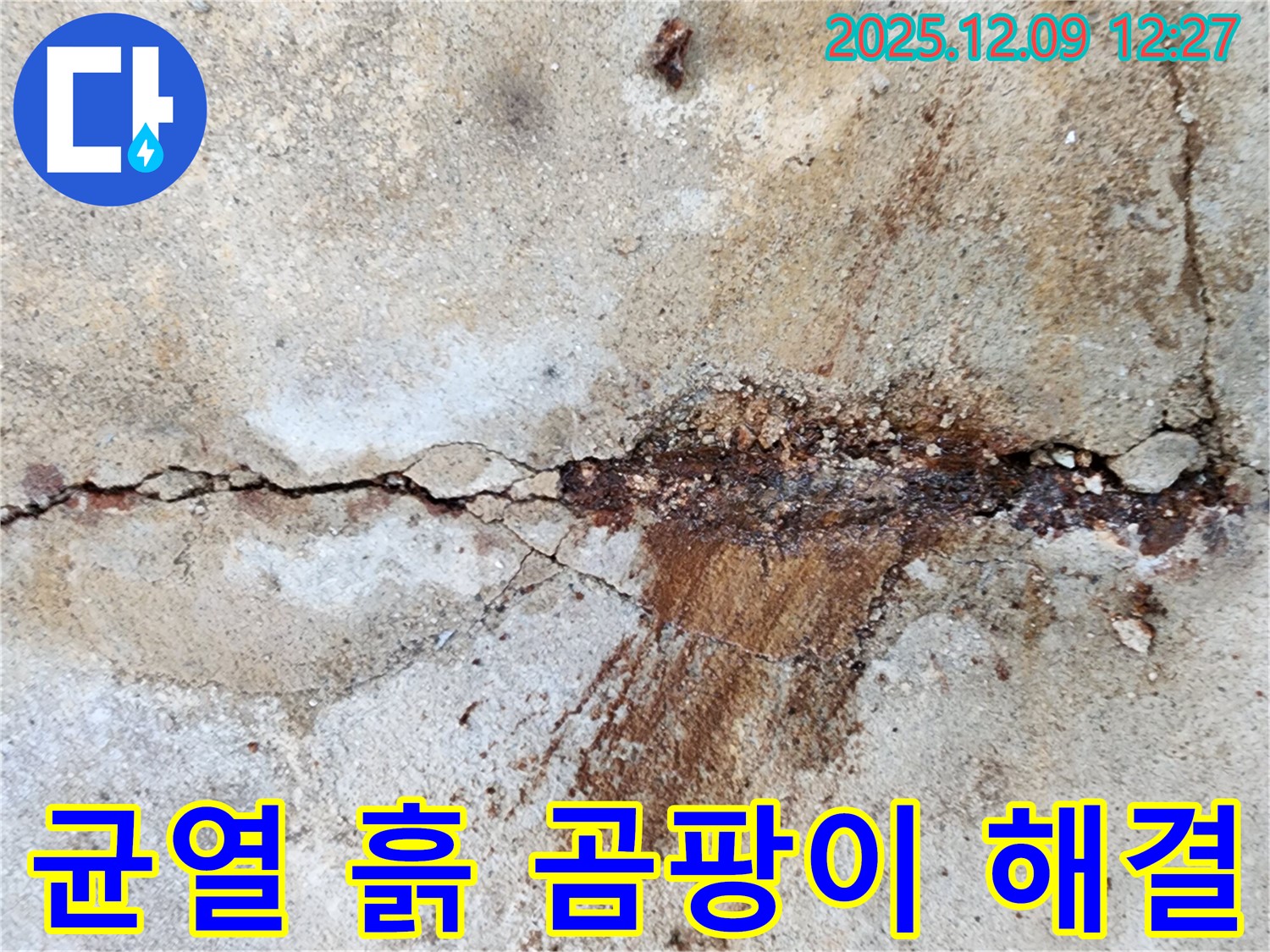 성동리 콘크리트 균열 - 흙과 습기가 만나 곰팡이가 서식한다면 건강을 위협! 긴급 해결이 필요합니다!