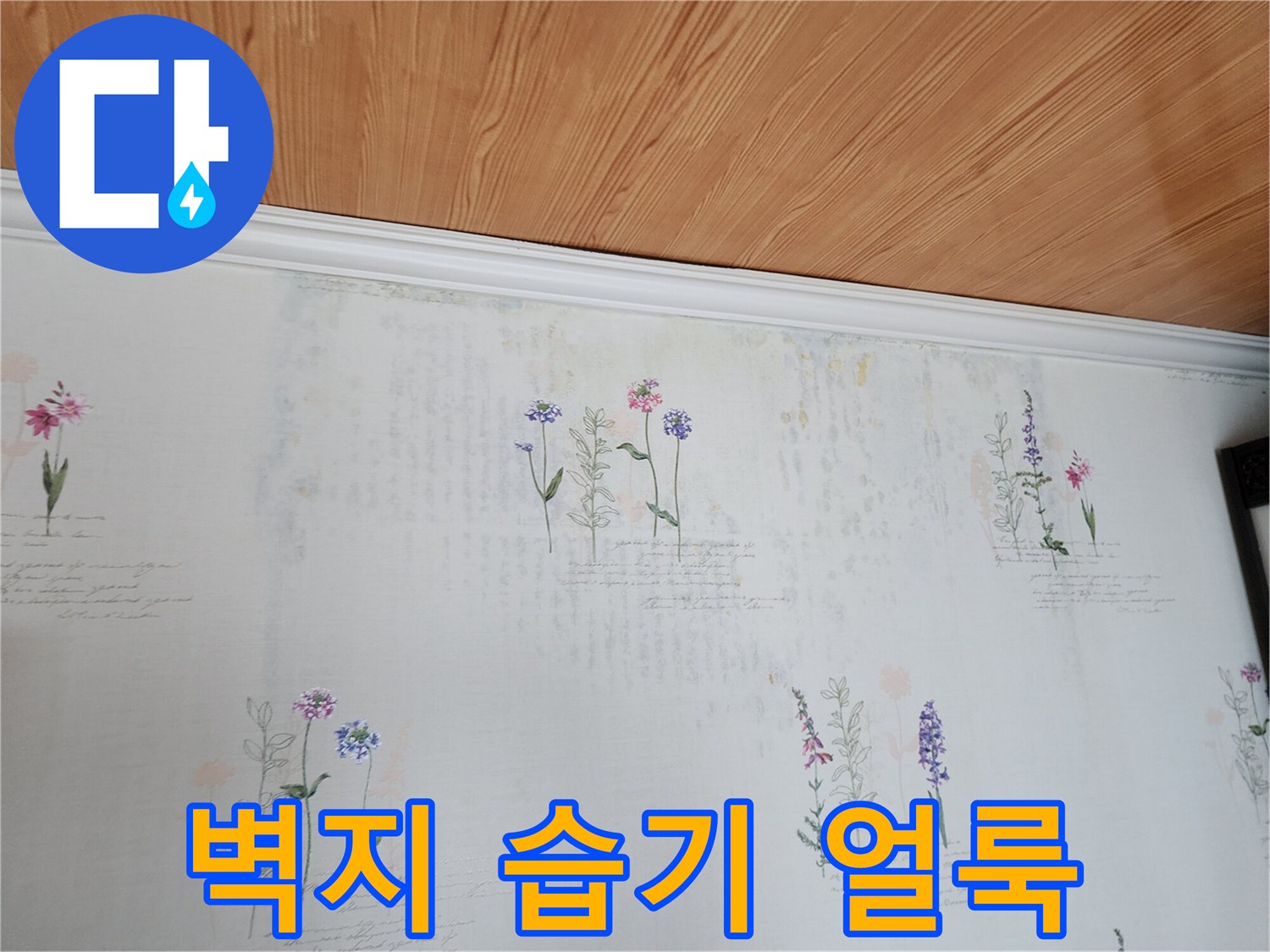 습기가 머금어진 천장 벽지의 변색된 부분