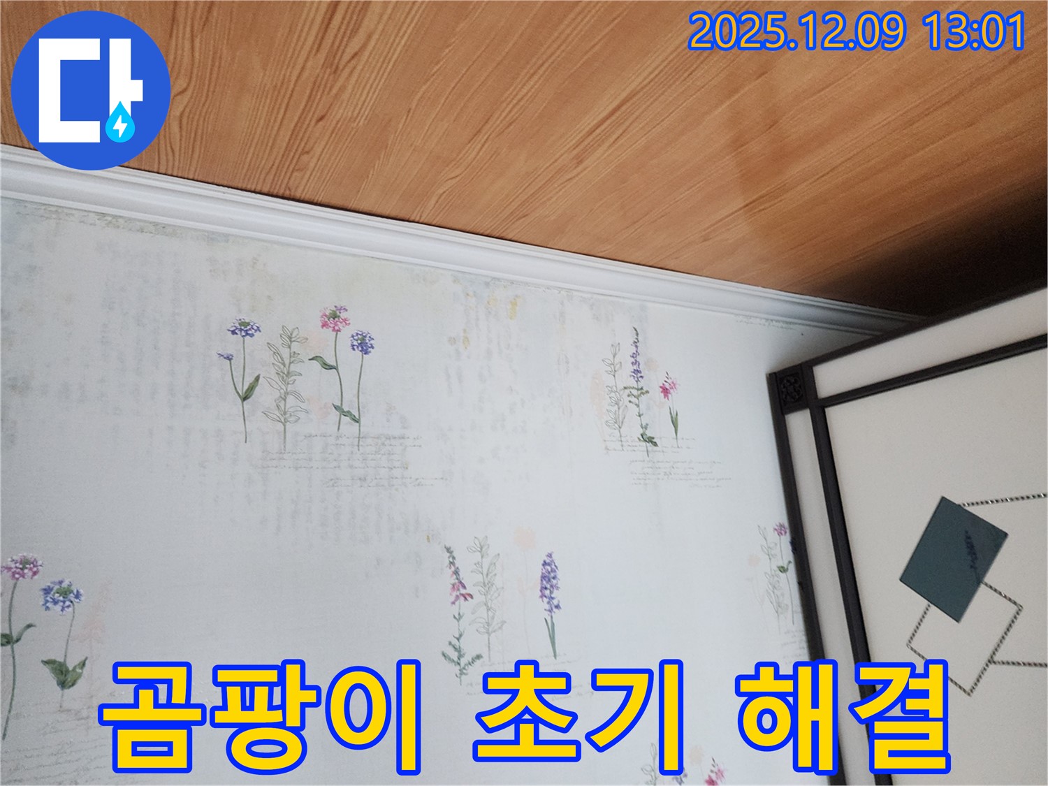 영중면 성동리 누수 현장 - 곰팡이 초기 단계 신속 조치 및 해결