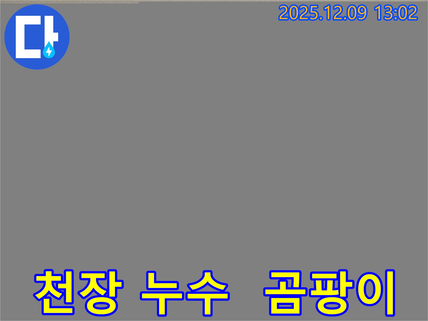 영중면 성동리 천장 누수 - 곰팡이 발생 전에 누수 점검을 받는 것이 중요합니다.