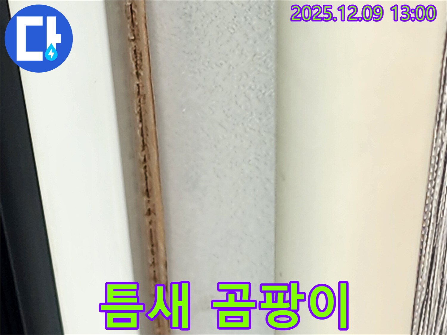 창틀 틈새 곰팡이 - 실내 공기를 오염시킵니다.