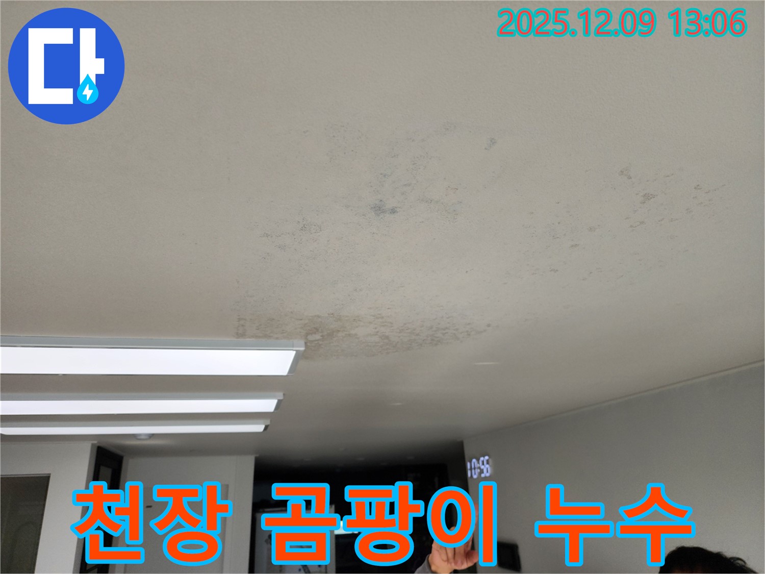 천장 곰팡이 누수 - 포천시 영중면에서 발생한 누수로 인한 천장 곰팡이 문제를 긴급 점검하고 있습니다.