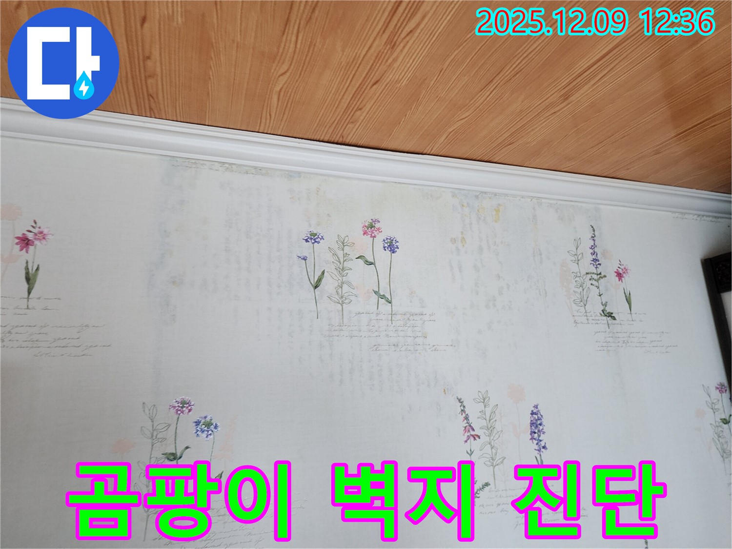 포천 누수탐지 전문 - 곰팡이 벽지의 누수 원인을 정확하게 진단하고 완벽하게 해결하는 누수 공사 과정