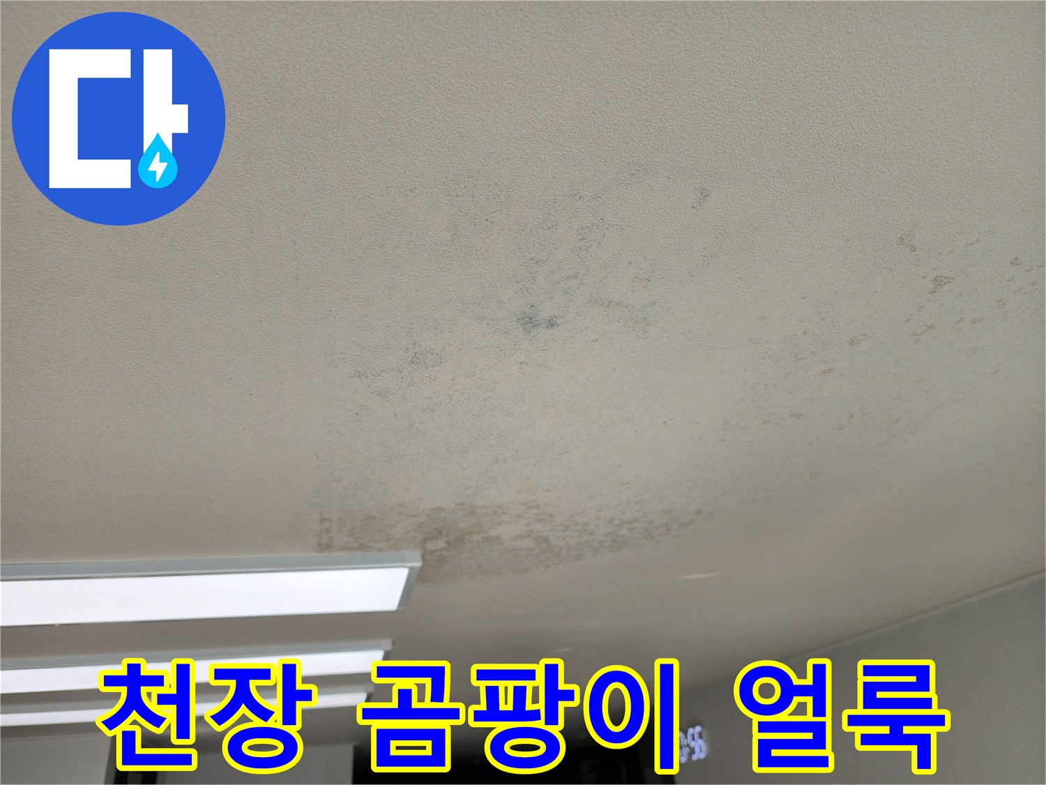포천 성동리 현장 - 천장에 발생한 넓은 범위의 곰팡이와 습기 흔적