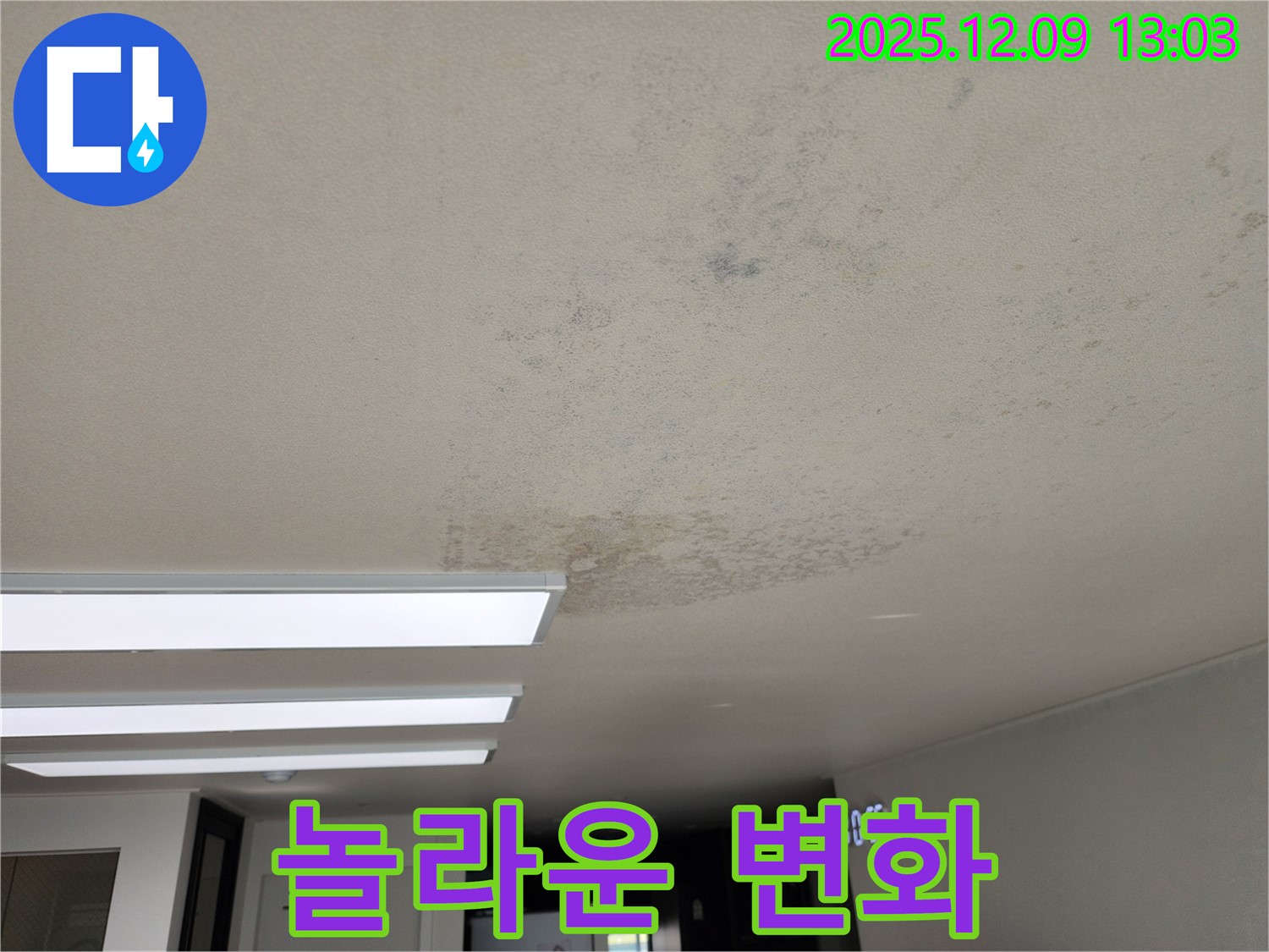 포천 영중면 - 곰팡이 쾌적한 공간으로 변신 - 놀라운 변화