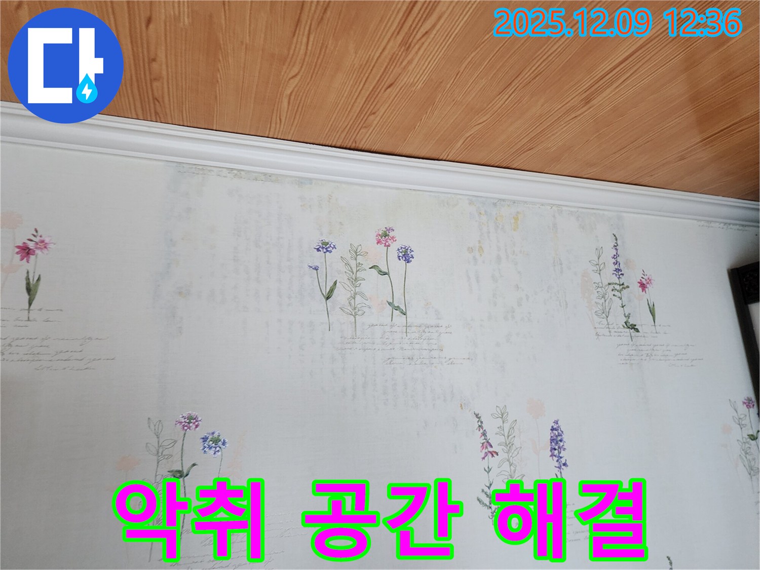 포천 영중면 누수 문제 해결 - 곰팡이 악취 벽지 문제를 해결하고 쾌적한 공간을 되찾아 드리는 완벽한 누수 공사