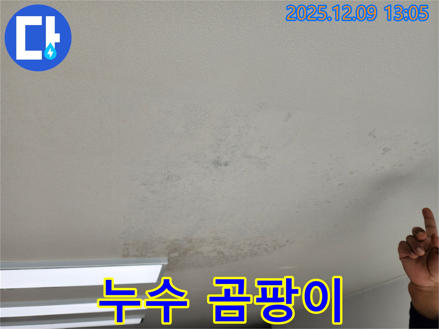 포천 영중면 누수 - 천장 누수와 곰팡이 문제 - 해결 전문가가 도와드립니다.