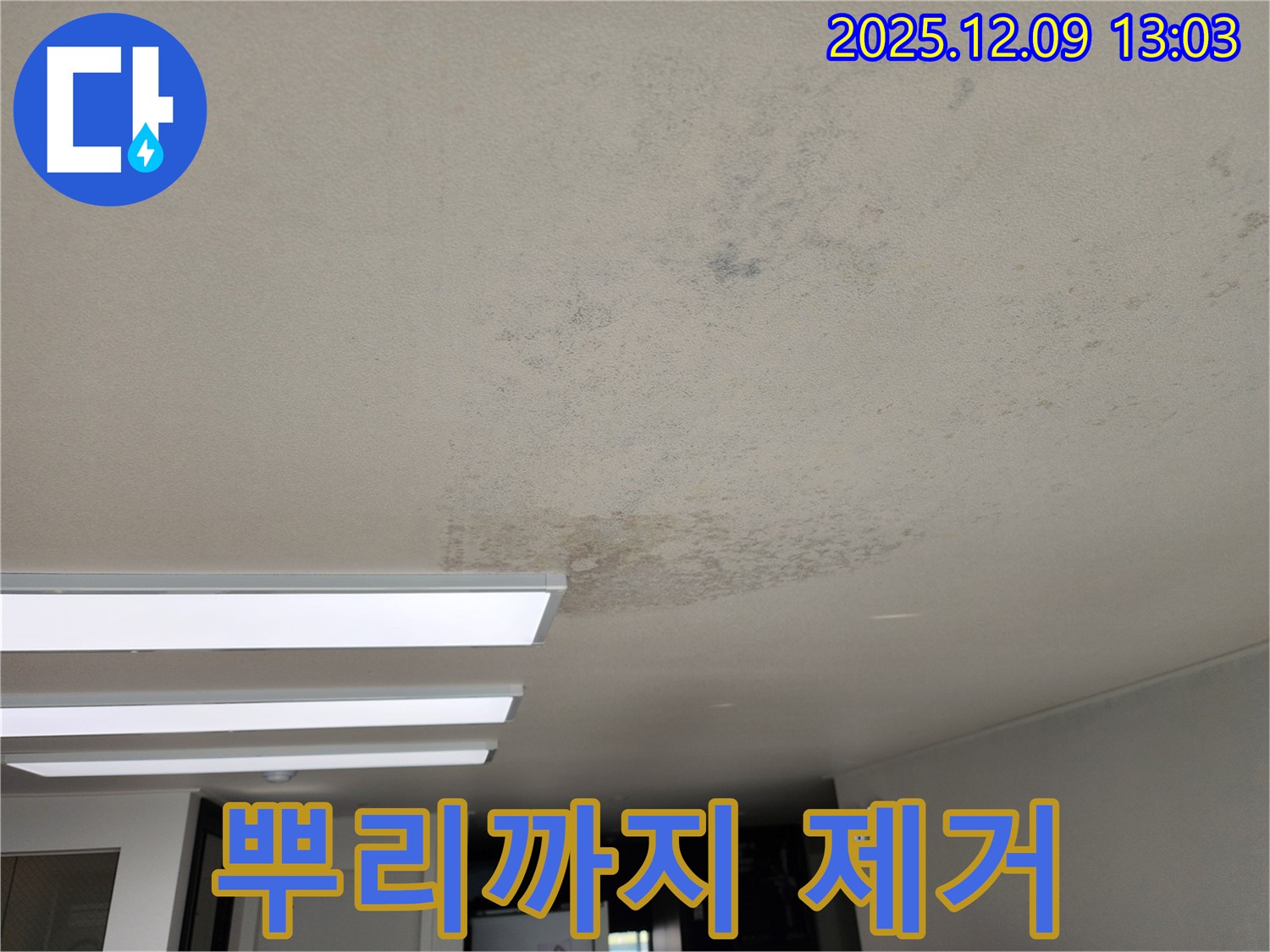 포천시 영중면 성동리 - 곰팡이 뿌리까지 뽑아 완벽 제거