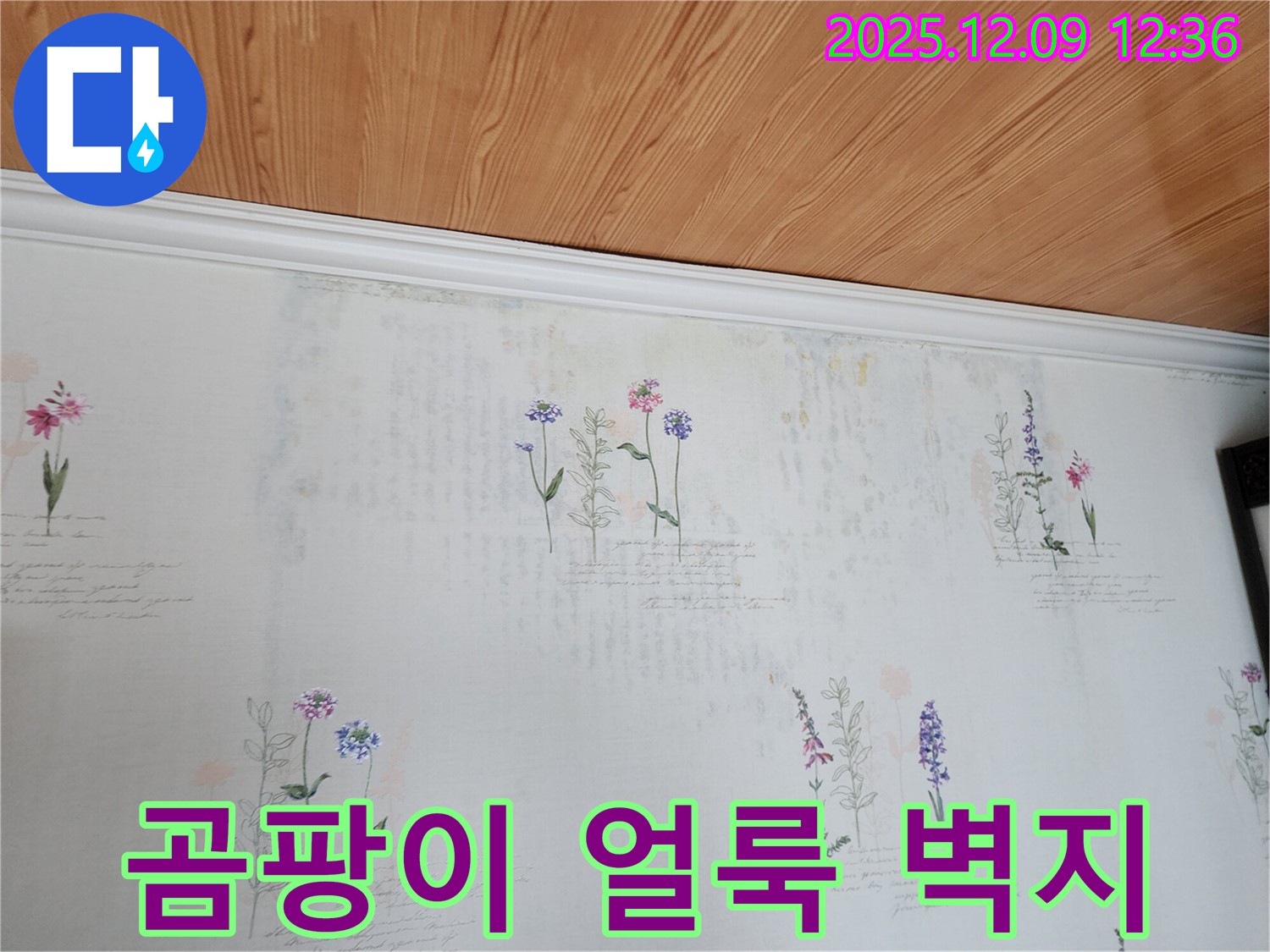 포천시 영중면 성동리 누수 현장 - 곰팡이와 함께 피어난 벽지 얼룩을 제거하는 누수탐지 및 공사 과정