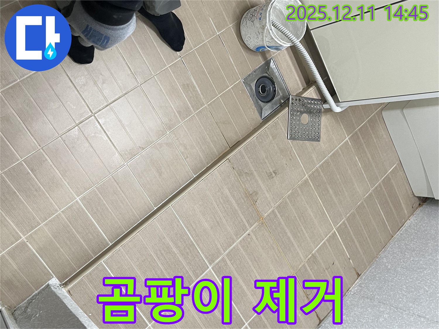 마포구 성산2동 - 세탁실 배수구 주변 곰팡이 - 친환경 약품으로 깨끗하게 제거!