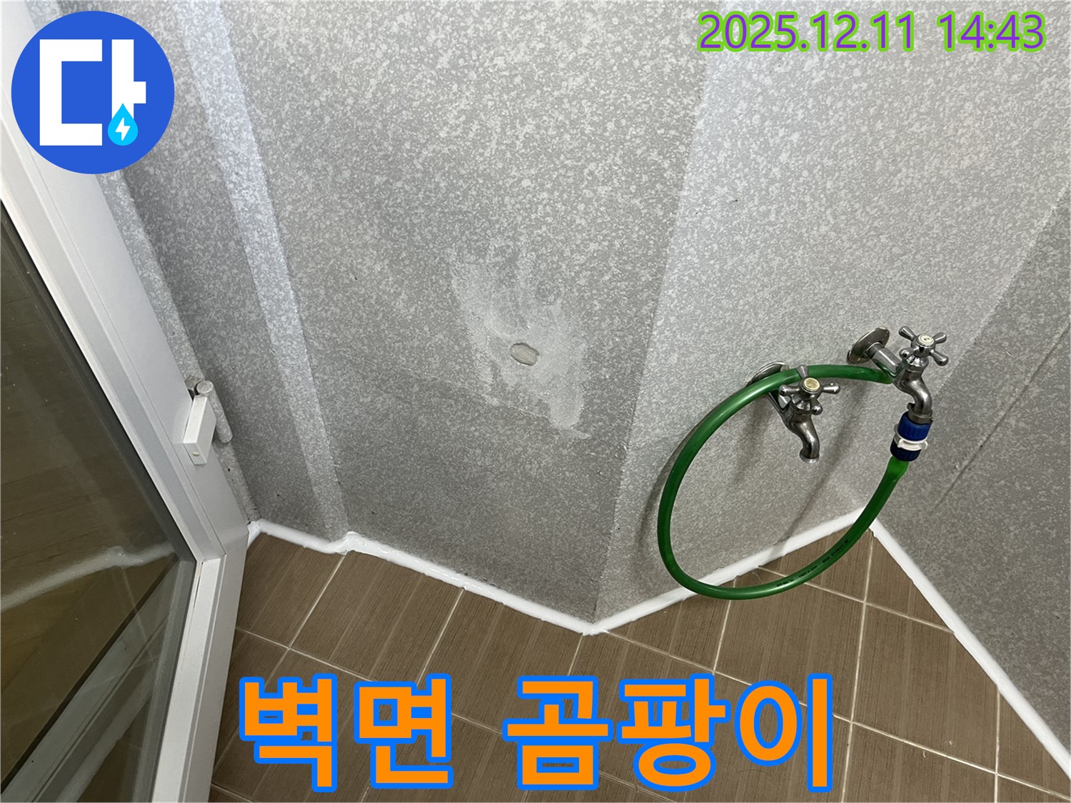 벽면 곰팡이 발생 - 누수탐지와 곰팡이 제거를 한번에!