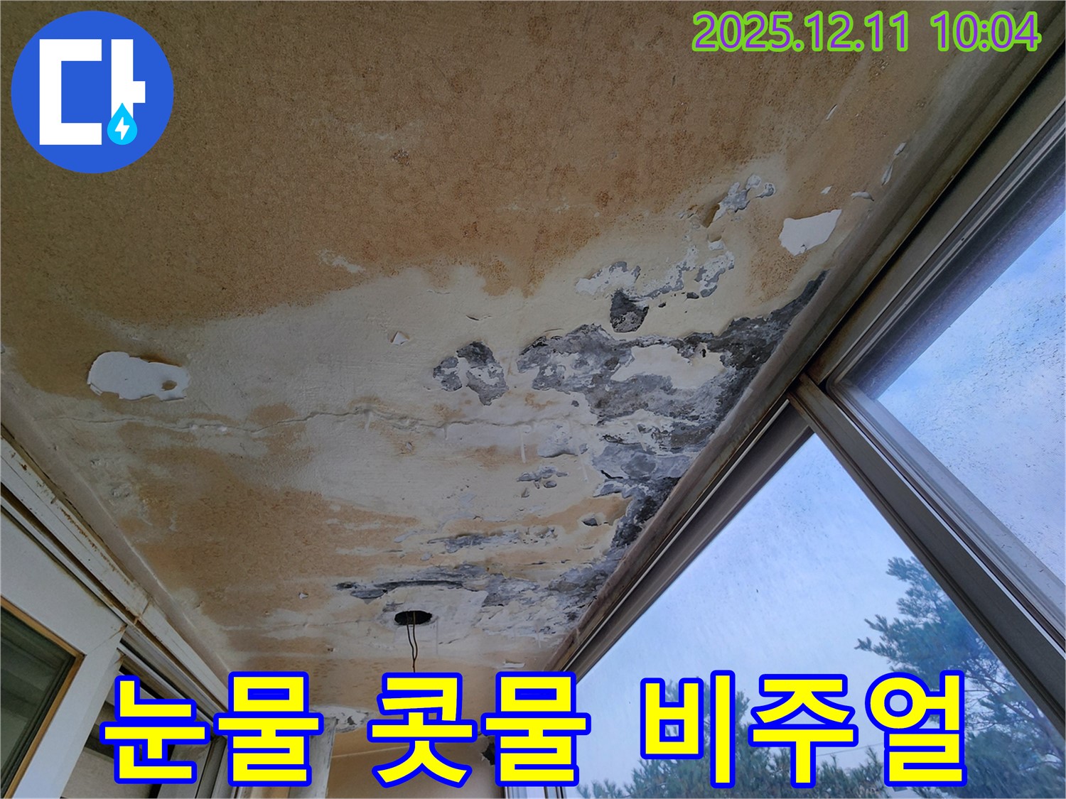 경기도 포천시 영중면 남궁리 - 베란다 천장 누수 - 석고보드 눈물, 곰팡이