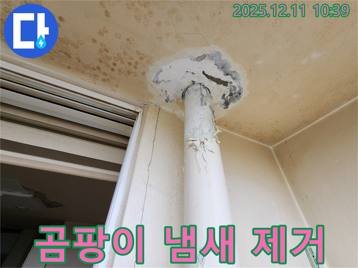곰팡이 냄새 - 천장 누수 - 제거 시공