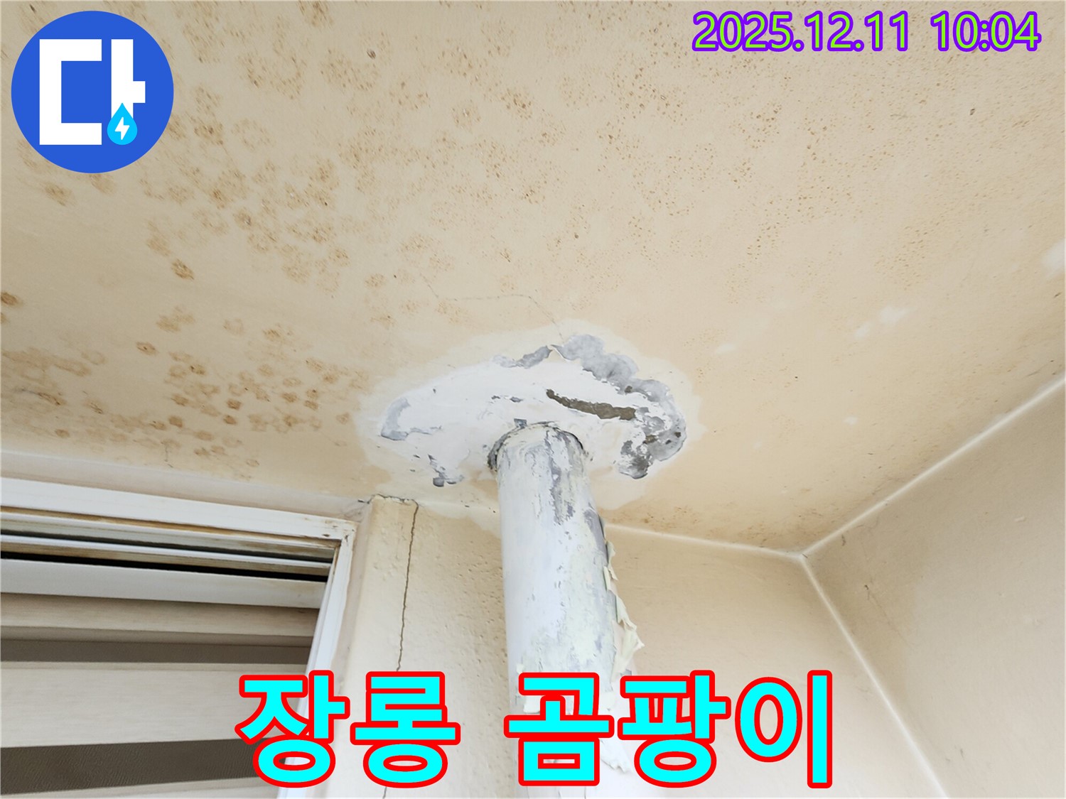 곰팡이 천장 - 장롱까지 곰팡이가?!