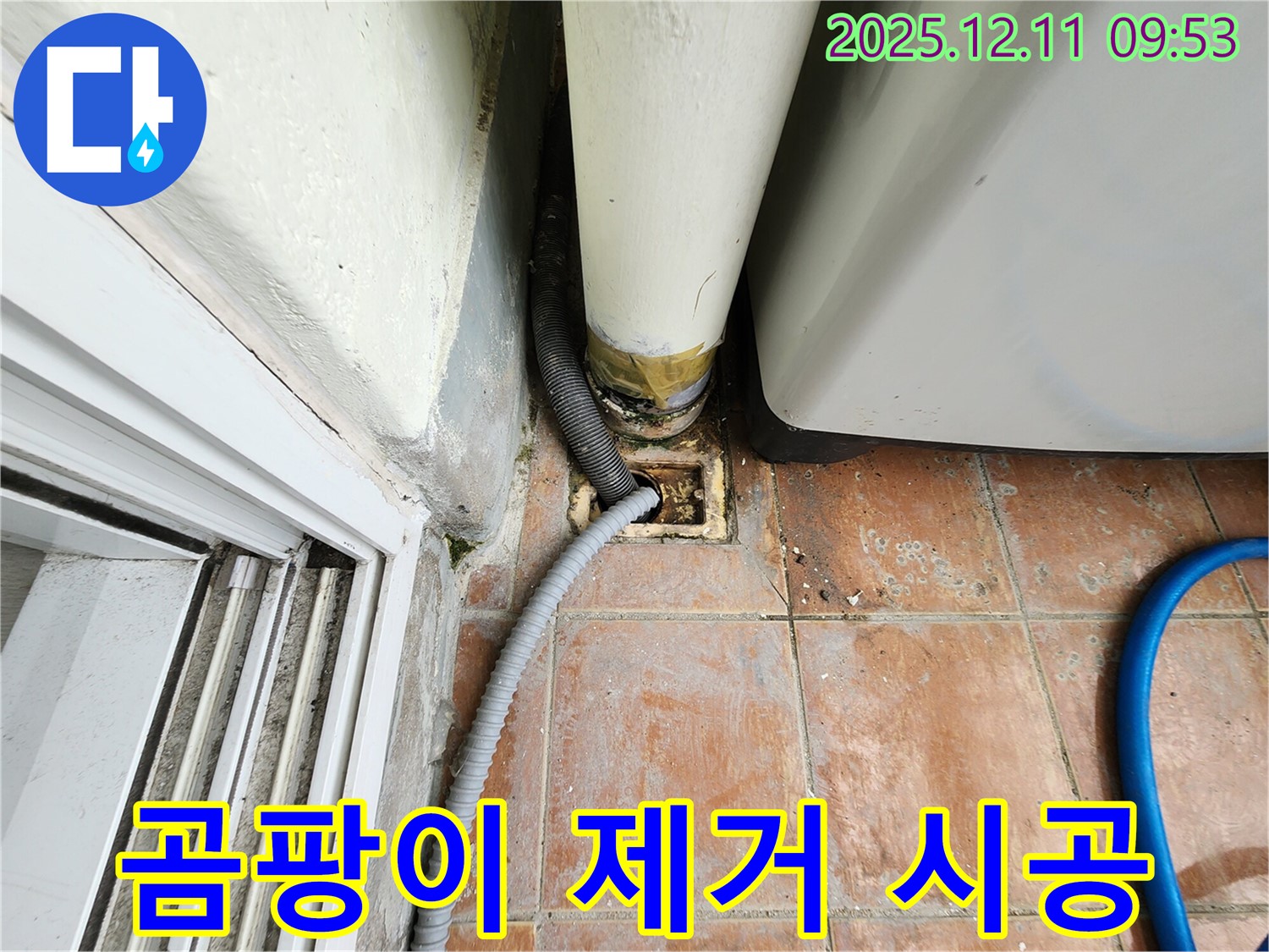 세탁기 배수구 주변 곰팡이 제거 및 재발 방지 시공 - 깨끗하게 해결