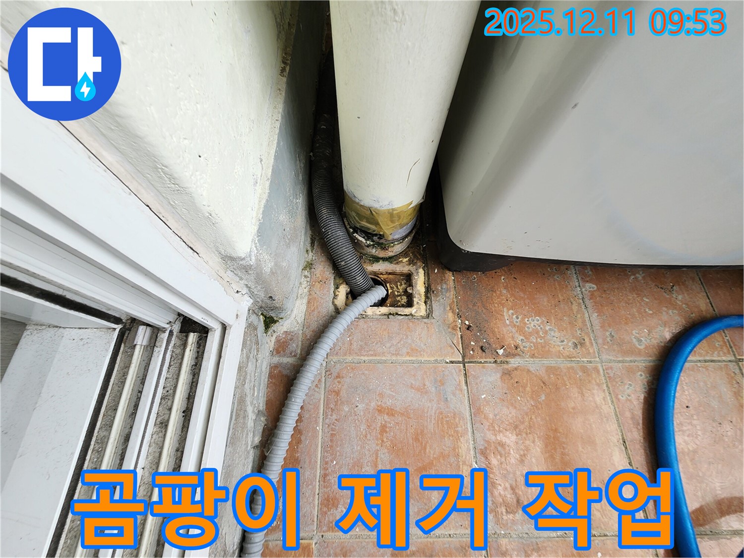 세탁기 배수구 주변 곰팡이 제거 - 쾌적한 환경 조성