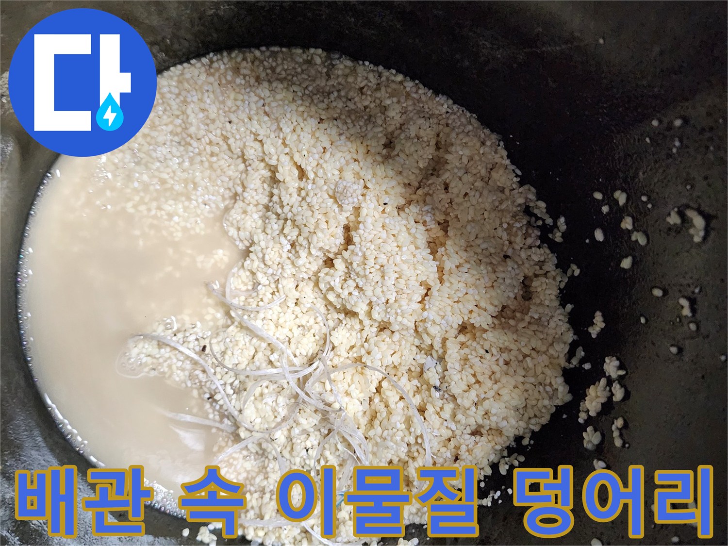 싱크대 배수관 내부에서 추출된 하얀 기름 슬러지와 탁한 오수