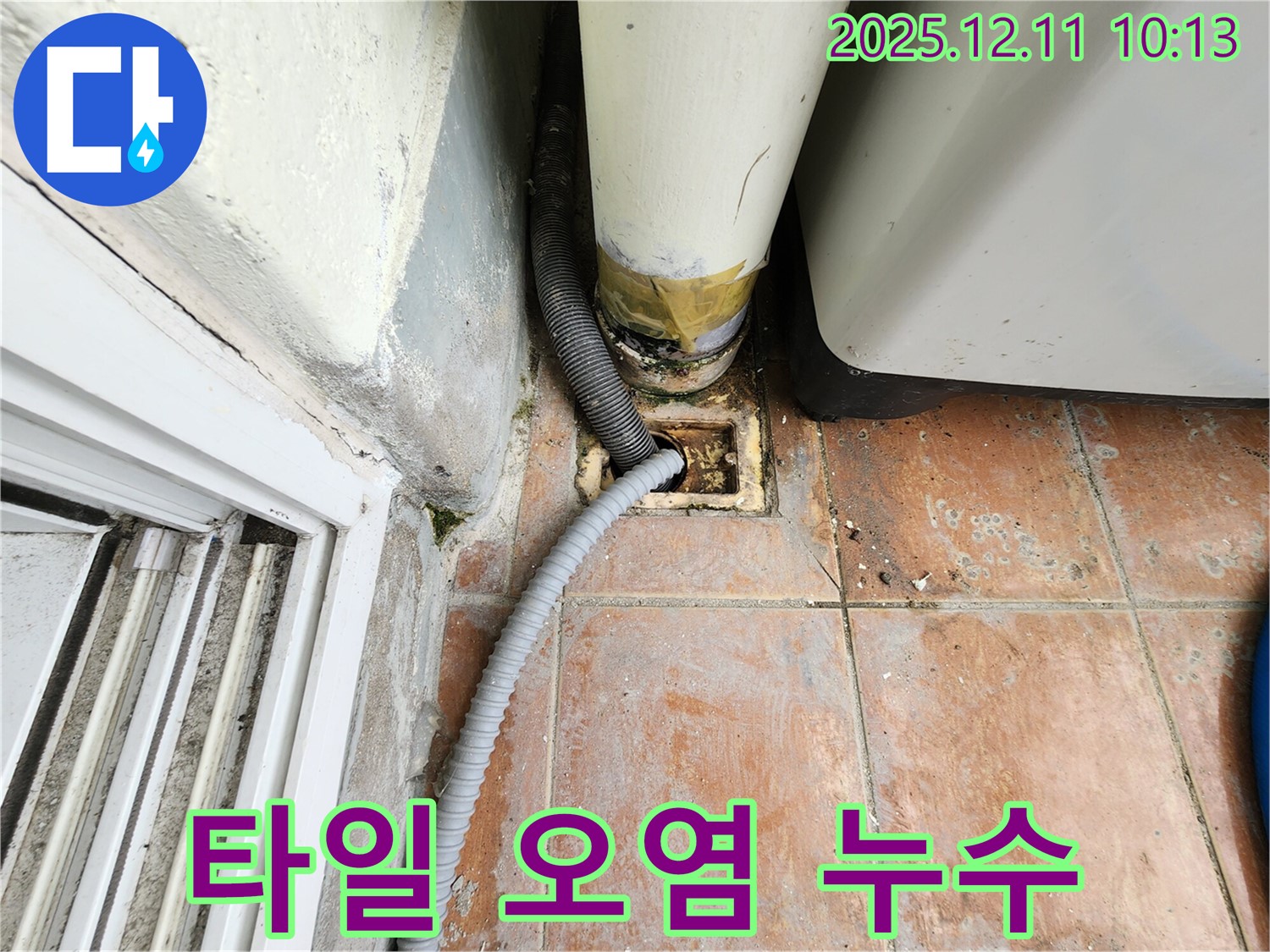 타일 오염 및 누수 - 배수구 주변 타일이 오염되고, 틈새에서 누수가 발생하고 있습니다.