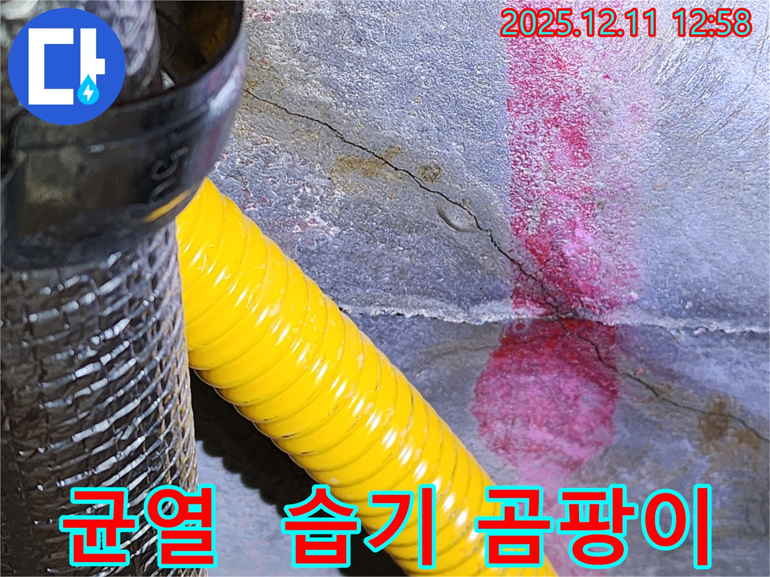 균열 습기 곰팡이 - 포천 누수 전문 업체에서 곰팡이 방지 시공까지!