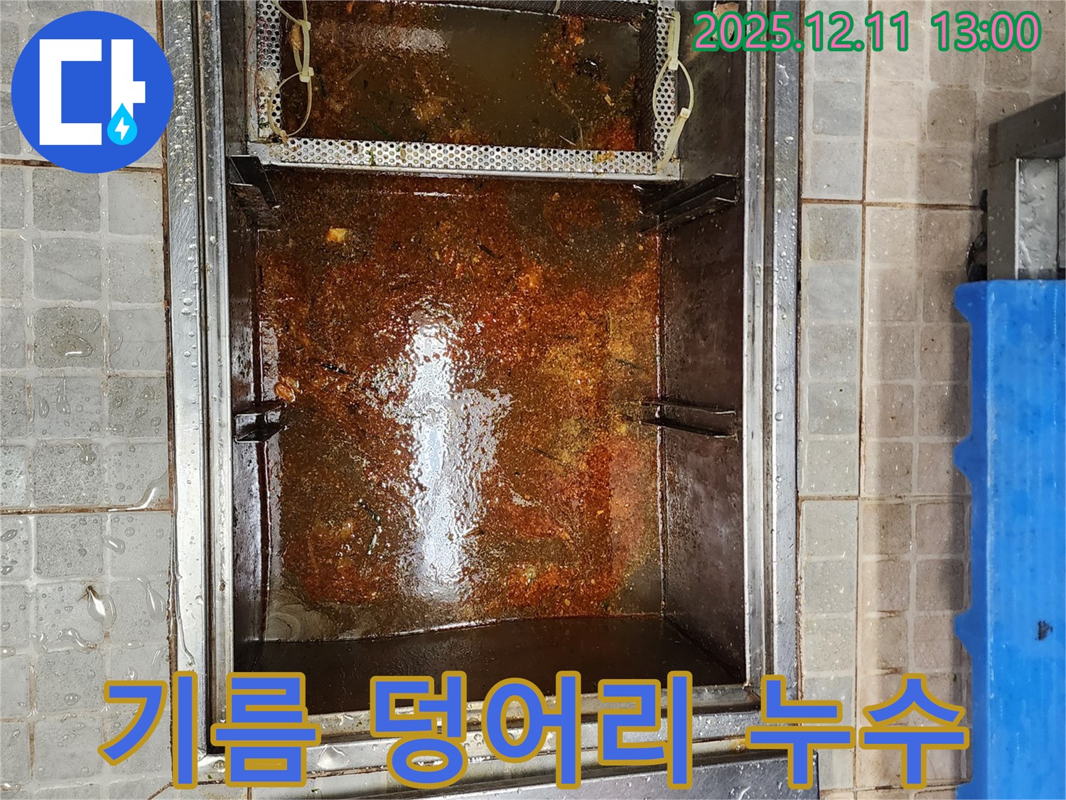 심각한 기름 덩어리로 막힌 하수구 누수 현장입니다 - 고압 세척으로 깨끗하게 해결합니다.